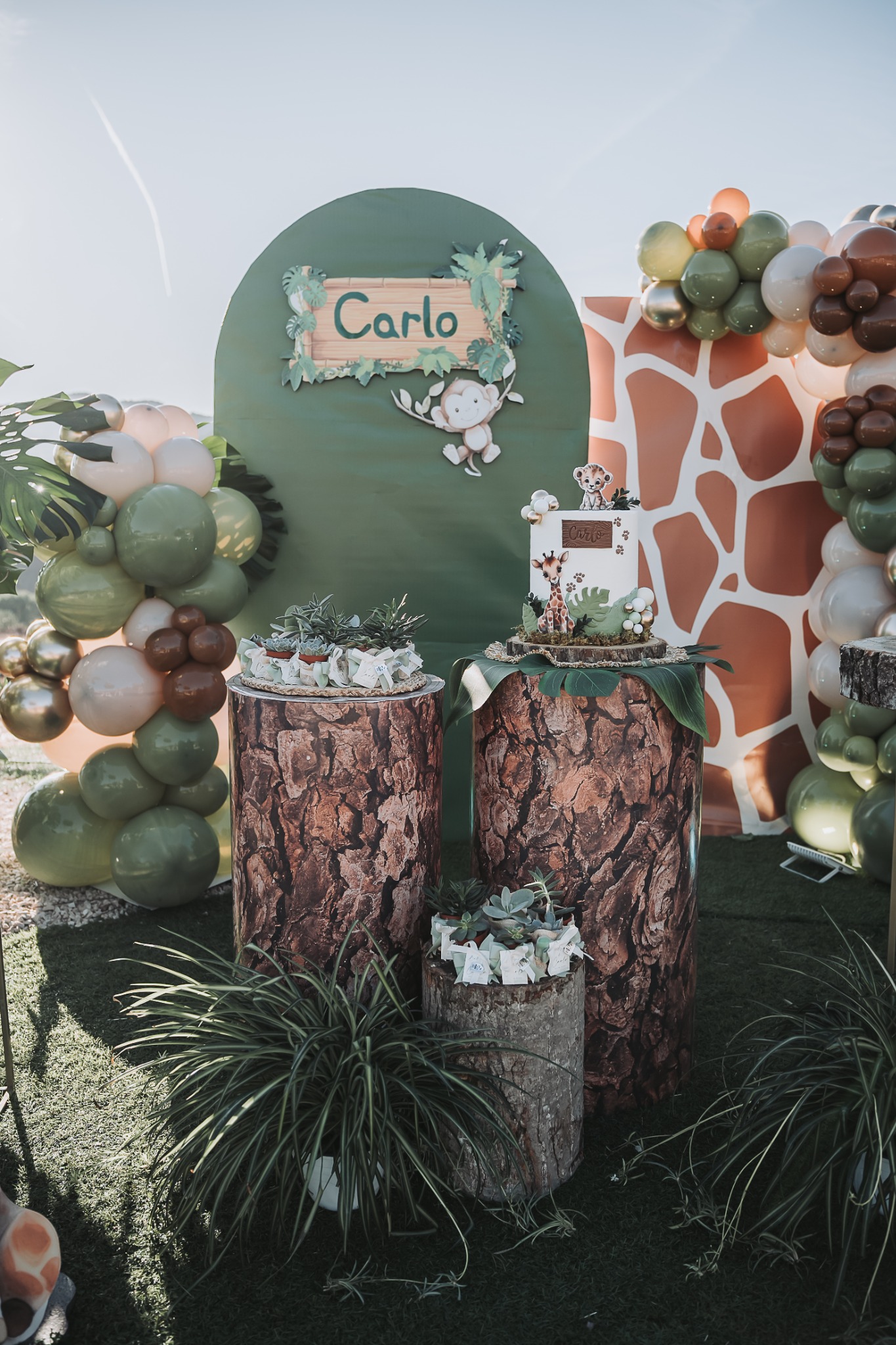 Le decorazioni della festa con animali e palloncini